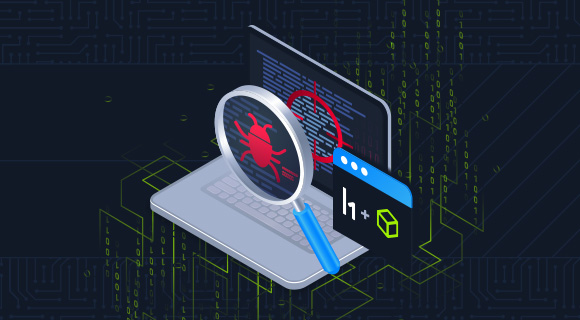 Web Penetration Tester